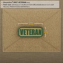 Load image into Gallery viewer, Veteran Morale Patch
